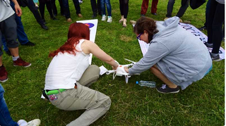 Illustration for article titled Poland Has Abortion Drones. We Need Abortion Drones.